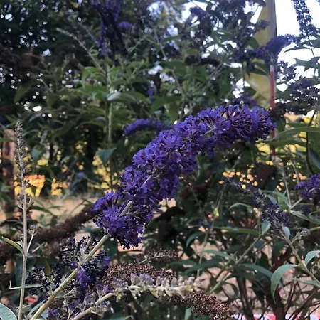 B&B Le Refuge De Kila 3*